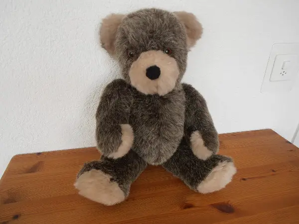 Teddybär (Neu! )