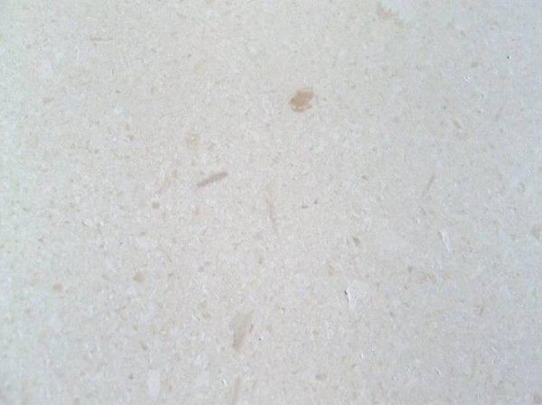  Bodenplatte Naturstein Kalkstein Limra geschliffen/gebürstet