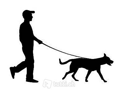 DOG WALKER - Dog Sitter