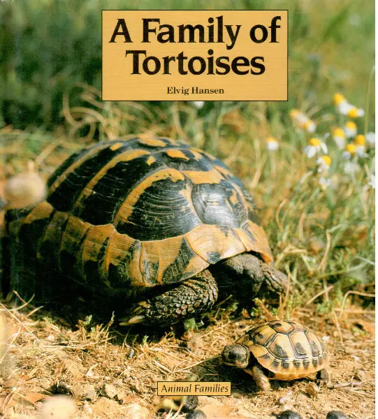 Hansen, A Family of Tortoises (Picture Book)