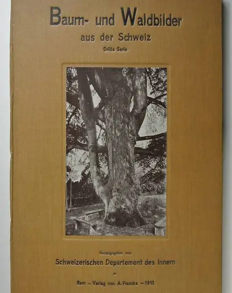 Baum- und Waldbilder aus der Schweiz. Dritte Serie.