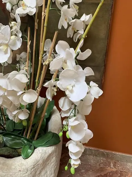Gruppo orchidee in seta
