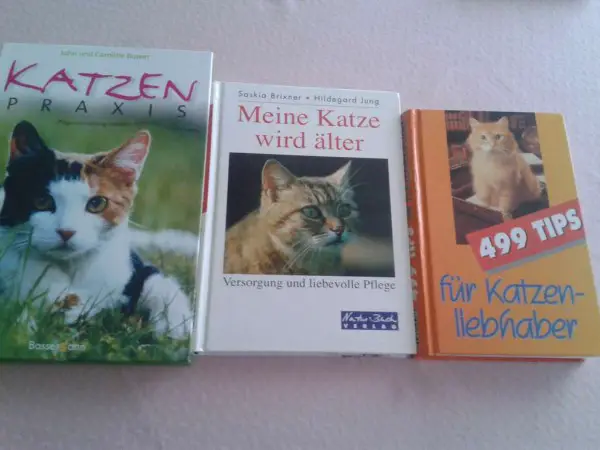 Katzenbücher
