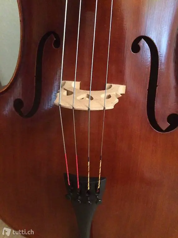 neues Cello