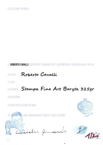 roberto cavalli - "a blue vague recollection" in arizona (329)