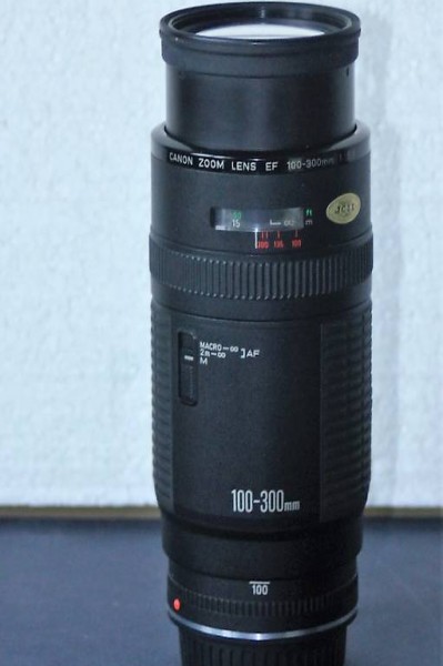 Canon EF Objektiv 5,6/100-300mm AF. Digital/analoge Kam.