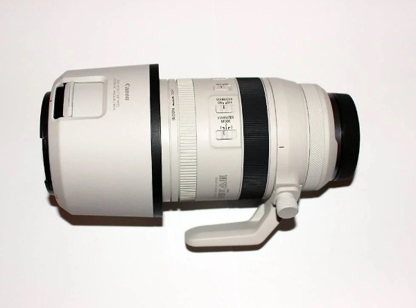 Canon RF 100-500mm Objektiv + Zubehör (VHB)