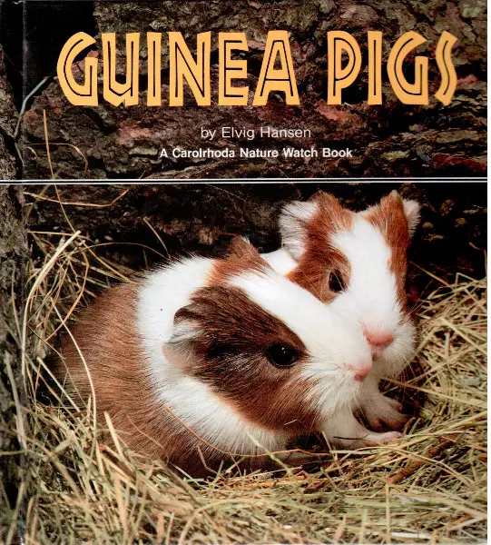 Hansen, Guinea Pigs (English Edition)