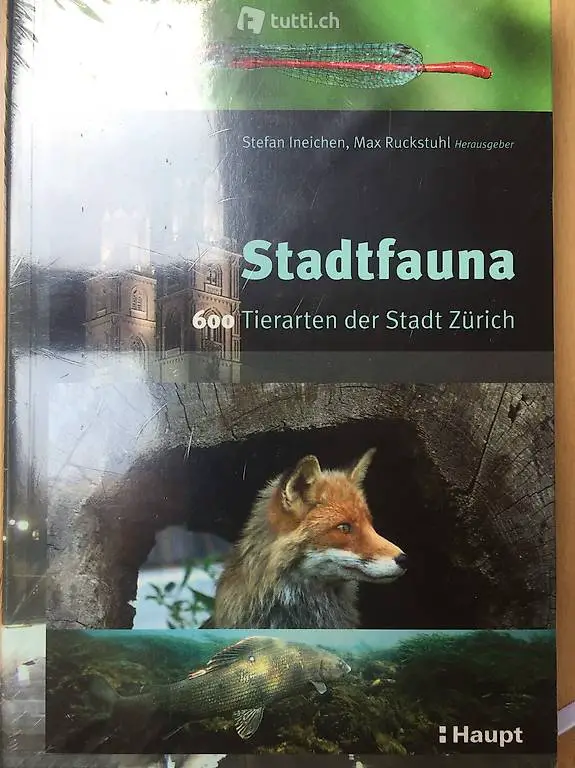 Buch Stadtfauna 600 Tierarten der Stadt Zürich