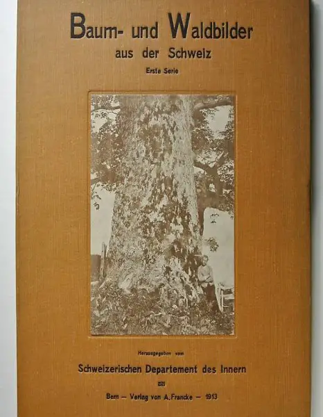 Baum- und Waldbilder aus der Schweiz. Erste Serie.