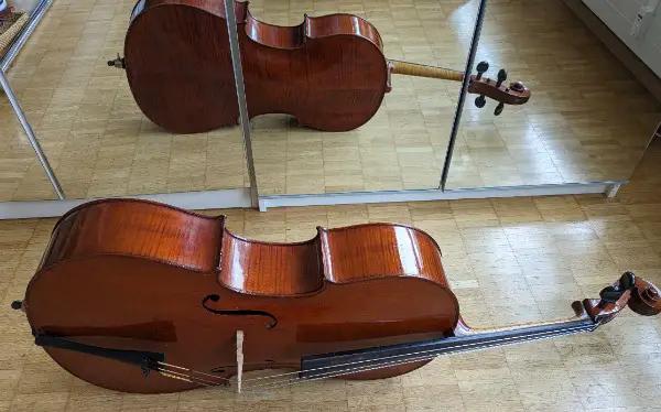 Cello mit Fall, ca. 100 Jahre alt
