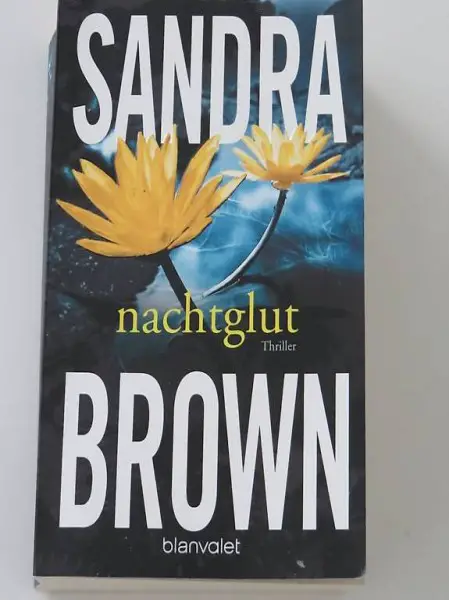 Roman Thriller Sandra Brown Nachtglut