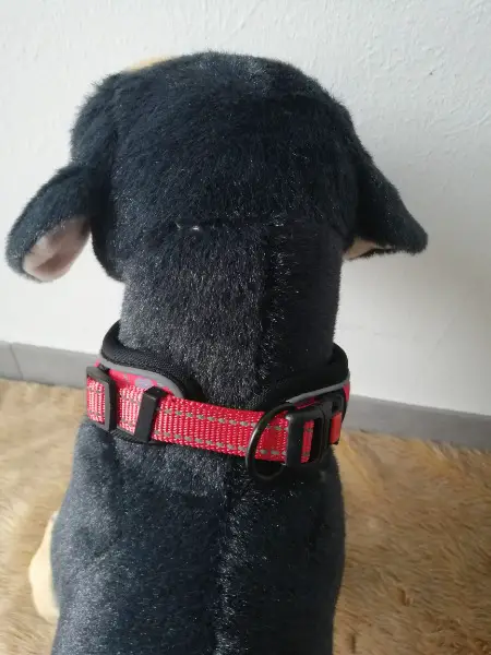 Weiches Hundehalsband 30 - 40 cm Halsumfang Gratis Versand