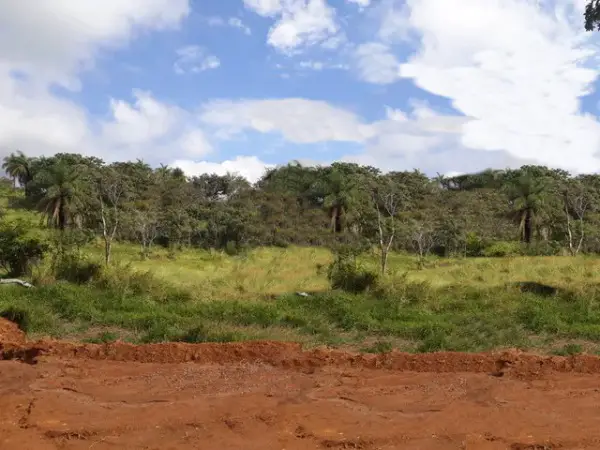 Brasilien 1"000 Hektar grosses Tiefpreis - Grundstück